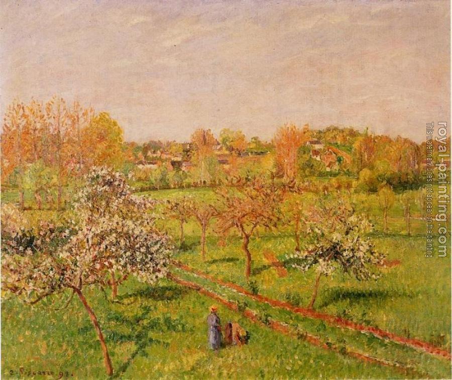 Camille Pissarro : Morning, Flowering Apple Trees, Eragny